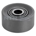 Натяжитель ремня SNR GE35320