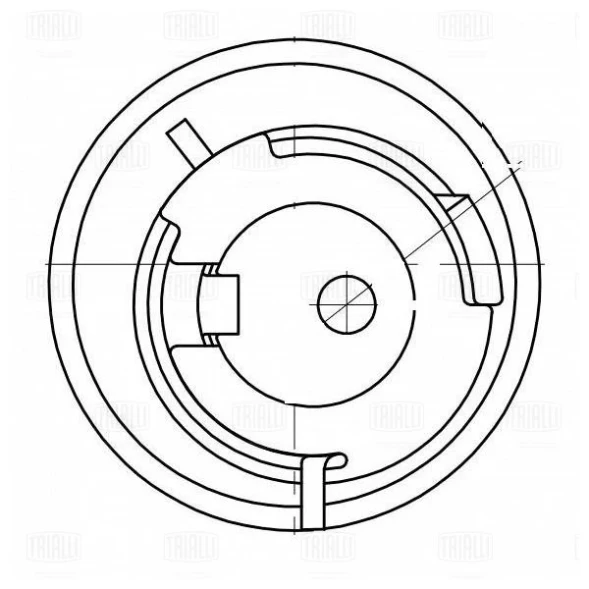Ролик ГРМ TRIALLI CM 6100