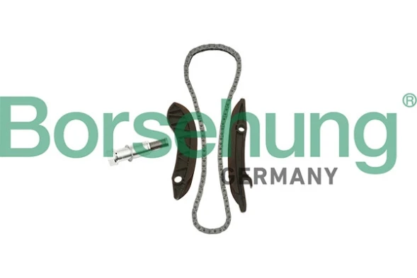 Комплект цепи ГРМ Borsehung (арт. B18852)