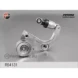 Натяжитель ремня Fenox R54131
