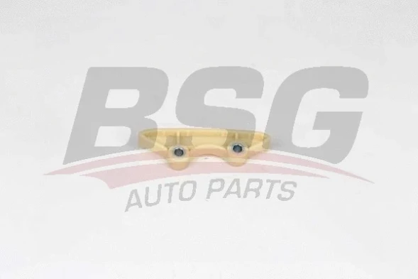 30-109-019 30109019 BSG BSG30109019