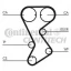Ремень ГРМ Contitech CT1144