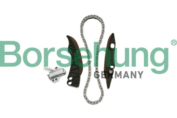 Комплект цепи ГРМ (цепь + 2 планки + натяжитель) Borsehung