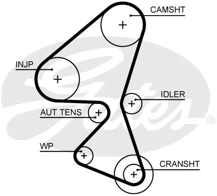 Зубчатый ремень привода ГРМ GATES 5656XS