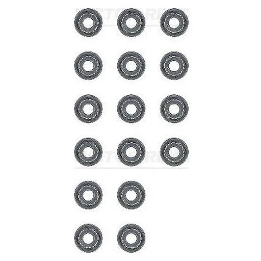 Маслоотражатель (комплект) Victor Reinz 12-53678-01