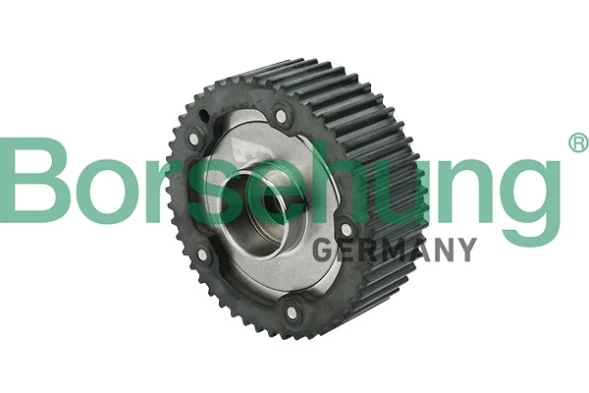 Регулятор фаз газораспределения Borsehung