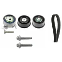 Комплект роликов ДВС INA 530044110