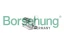 Натяжитель цепи ГРМ Borsehung b1t003