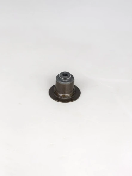 Колпачок маслосъемный NOK BV6569-G0