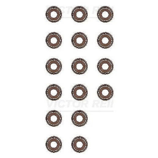 Маслоотражатель (комплект) Victor Reinz 12-53036-01