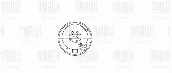 Ролик ГРМ TRIALLI CM6099