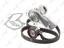 КОМПЛЕКТ РЕМНЯ ГРМ С ПОМПОЙ, FORD C-MAX 1.6 03- / FIESTA V-VI 1.25-1.6 02- / FOCUS II 1.4-1.6 04- /