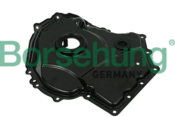 Кор. мех-ма измен. фаз газрас. Borsehung